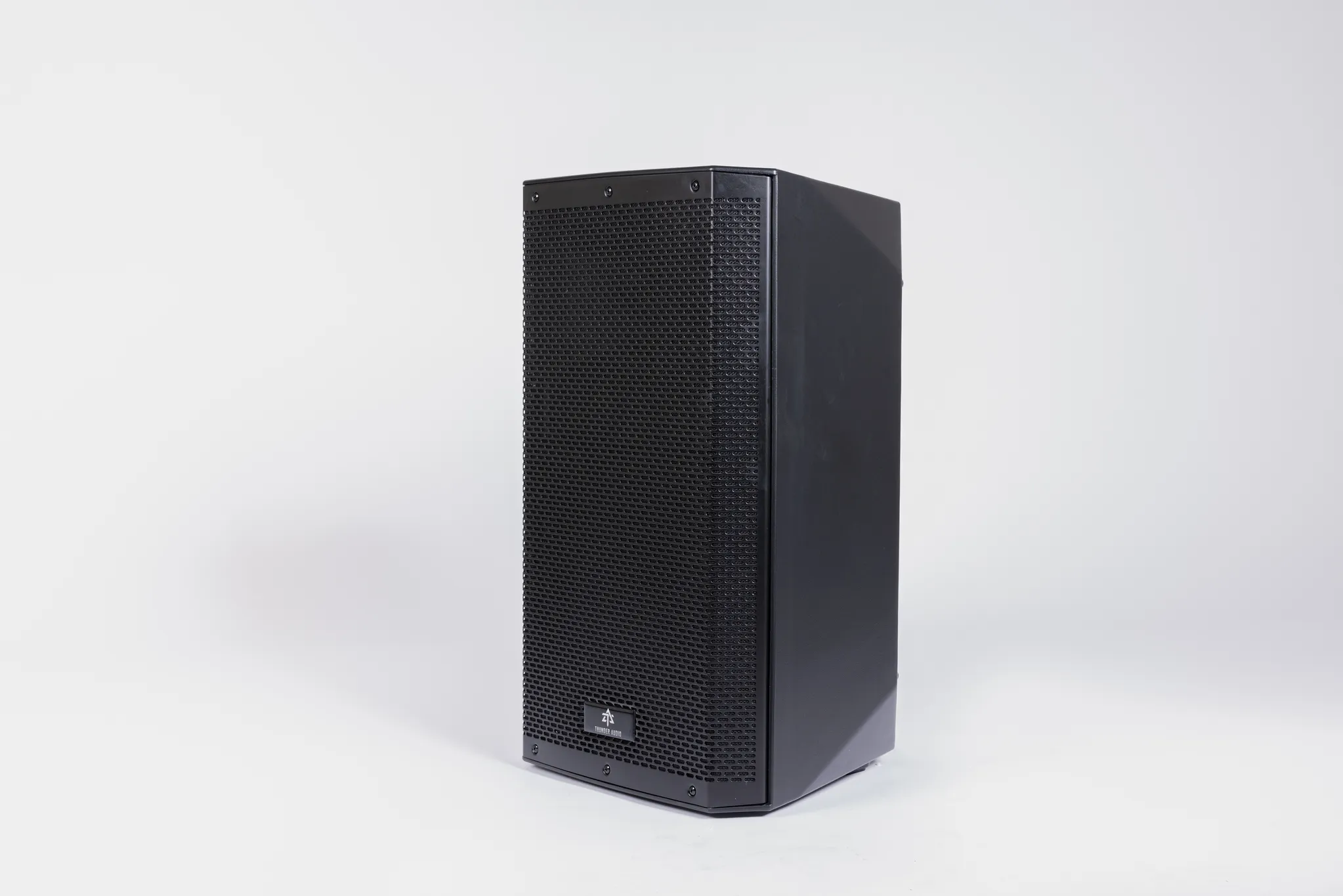 Thunderaudio X115A Rear Panel Controls